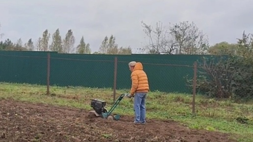 Приехали в деревню / 06.10.2024 г.