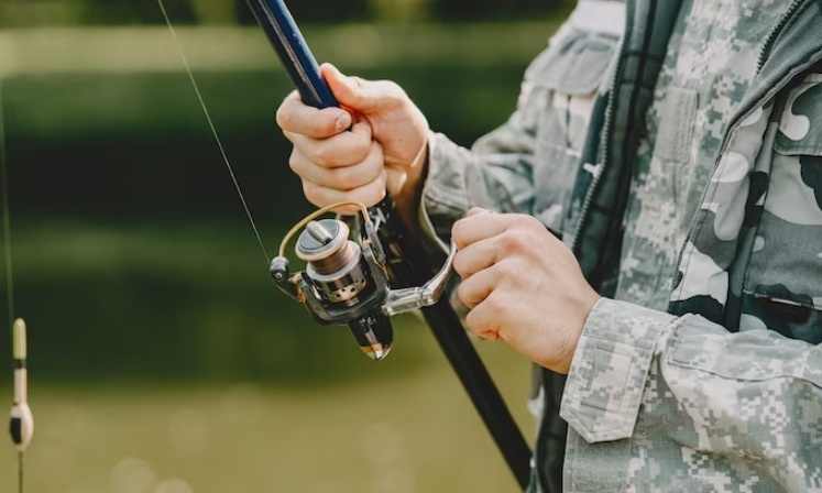    Фото: ru.freepik.com Анастасия Давыдова