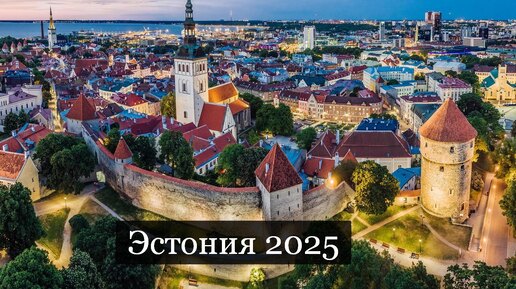 ТАРО #Аврора #гадание Эстония 2025