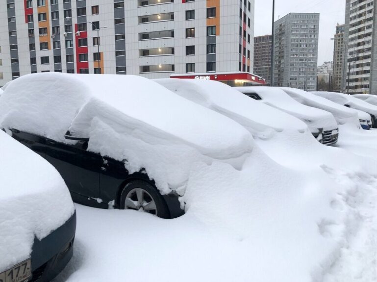    Фото: Агентство «Москва»/Кузьмичёнок Василий Илья Мартов