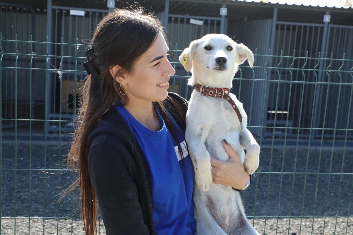 Автор фото Александр Белашов / "Медиацентр"