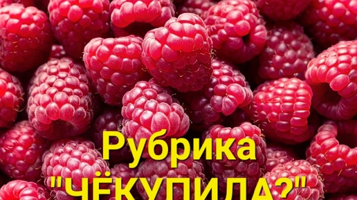 Рубрика 