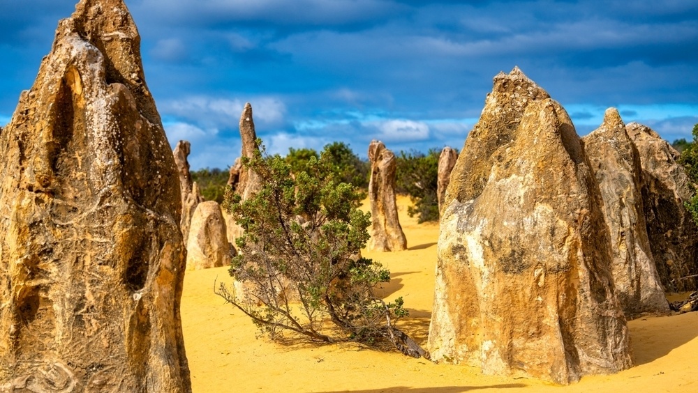    Фото: Shutterstock