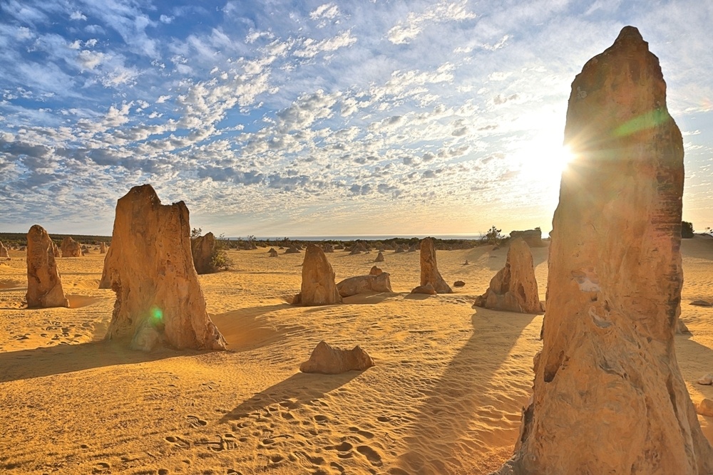     Фото: Shutterstock