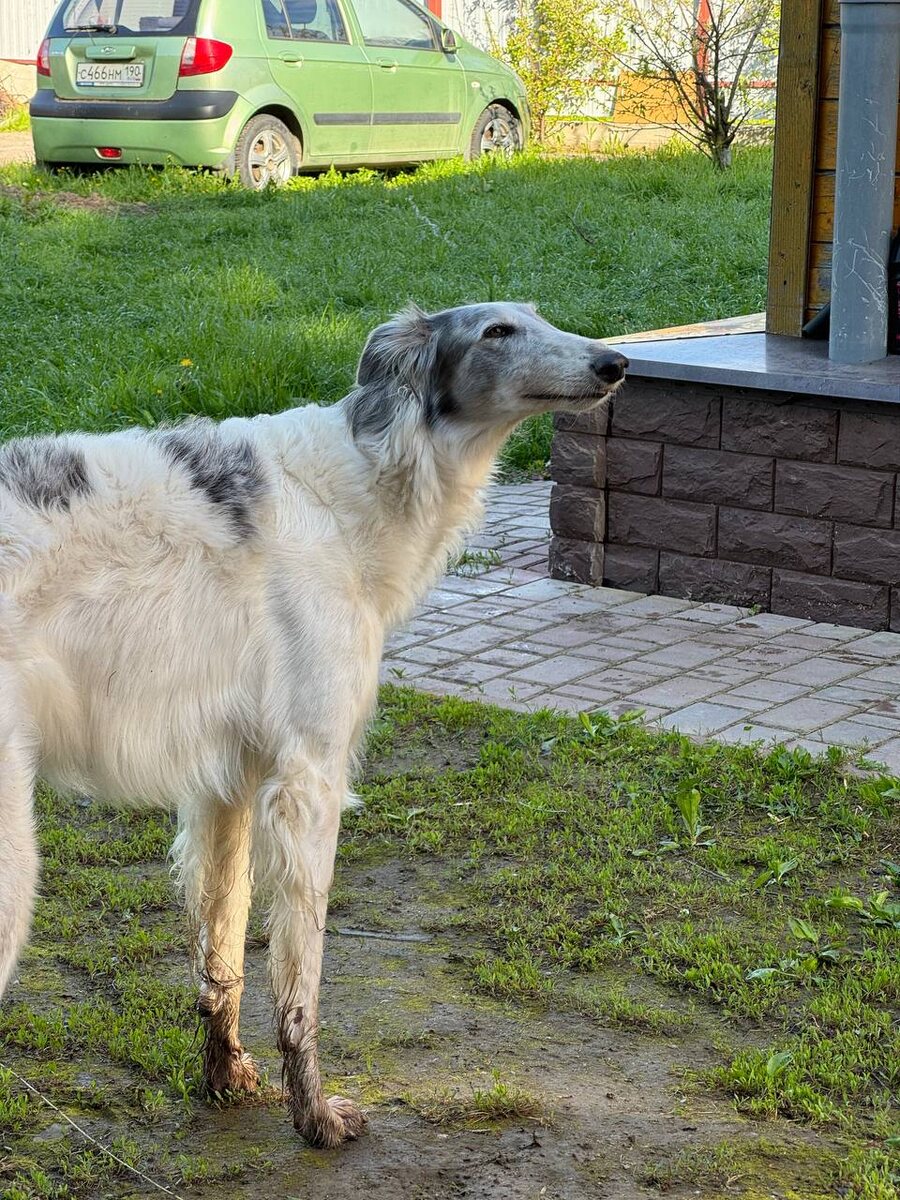 Свежий воздух, что может быть лучше?)