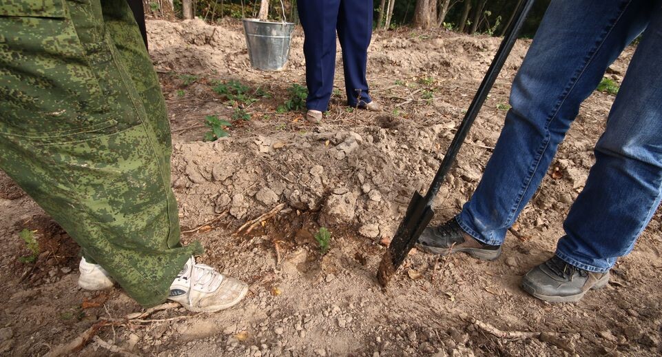    Пресс-служба администрации г.о. Пушкинский