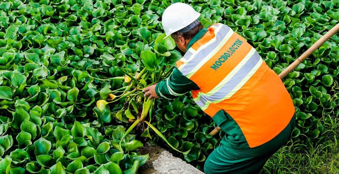    Фото: Комплекс городского хозяйства Москвы