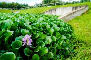    Фото: Комплекс городского хозяйства Москвы