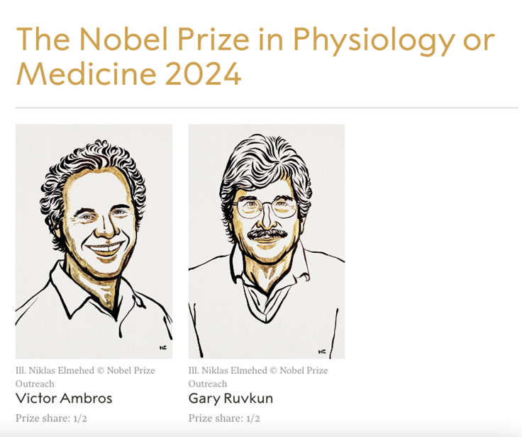    Автор фото: скриншот с сайта nobelprize.org