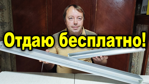 Успей получить фитолампу бесплатно! Розыгрыш от канала практичный огород!