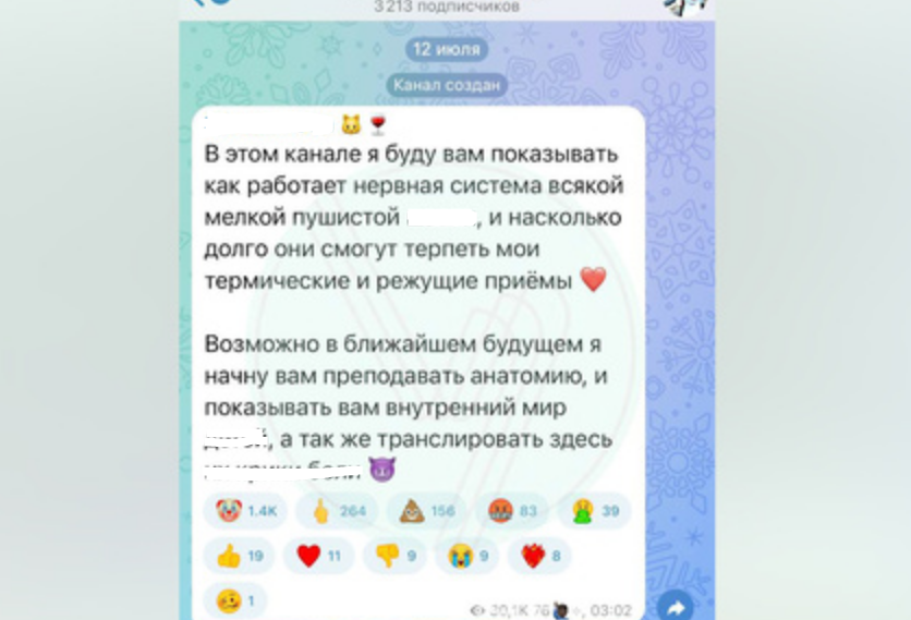 Фото: скриншот канала после начала его ведения