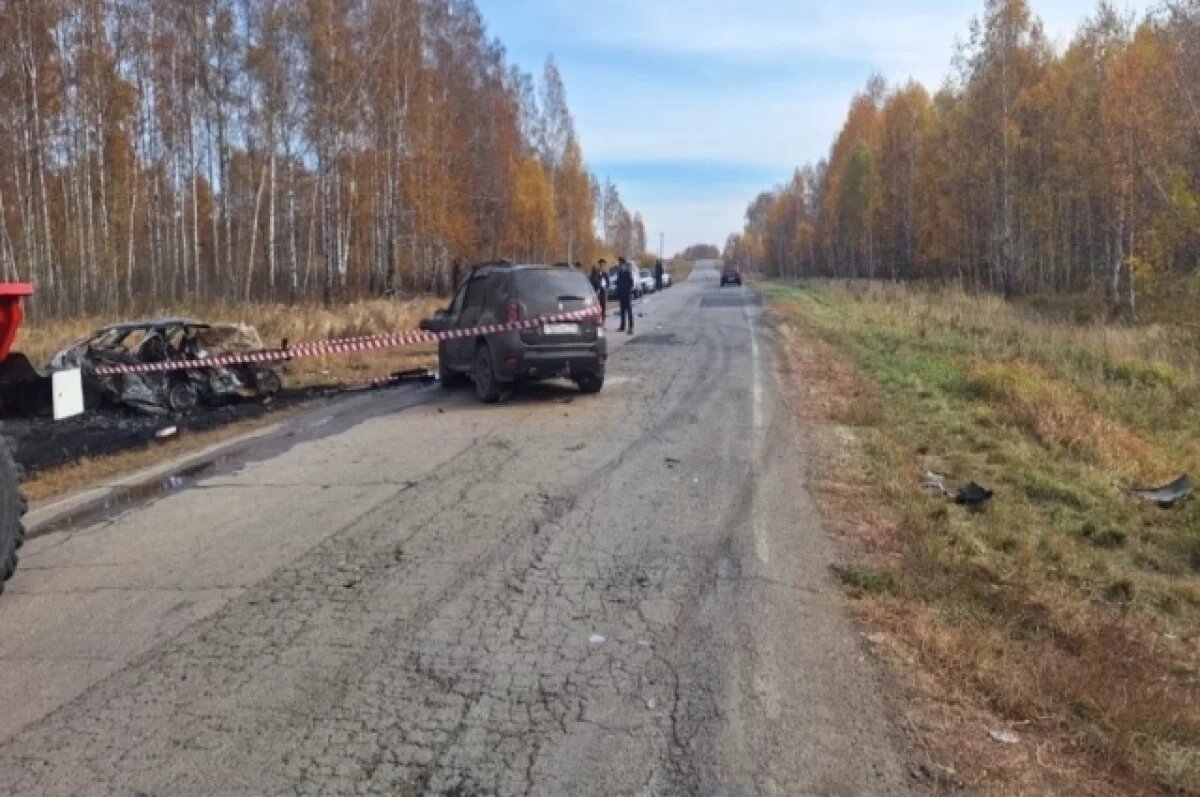    В Челябинской области три человека сгорели в машине в результате ДТП