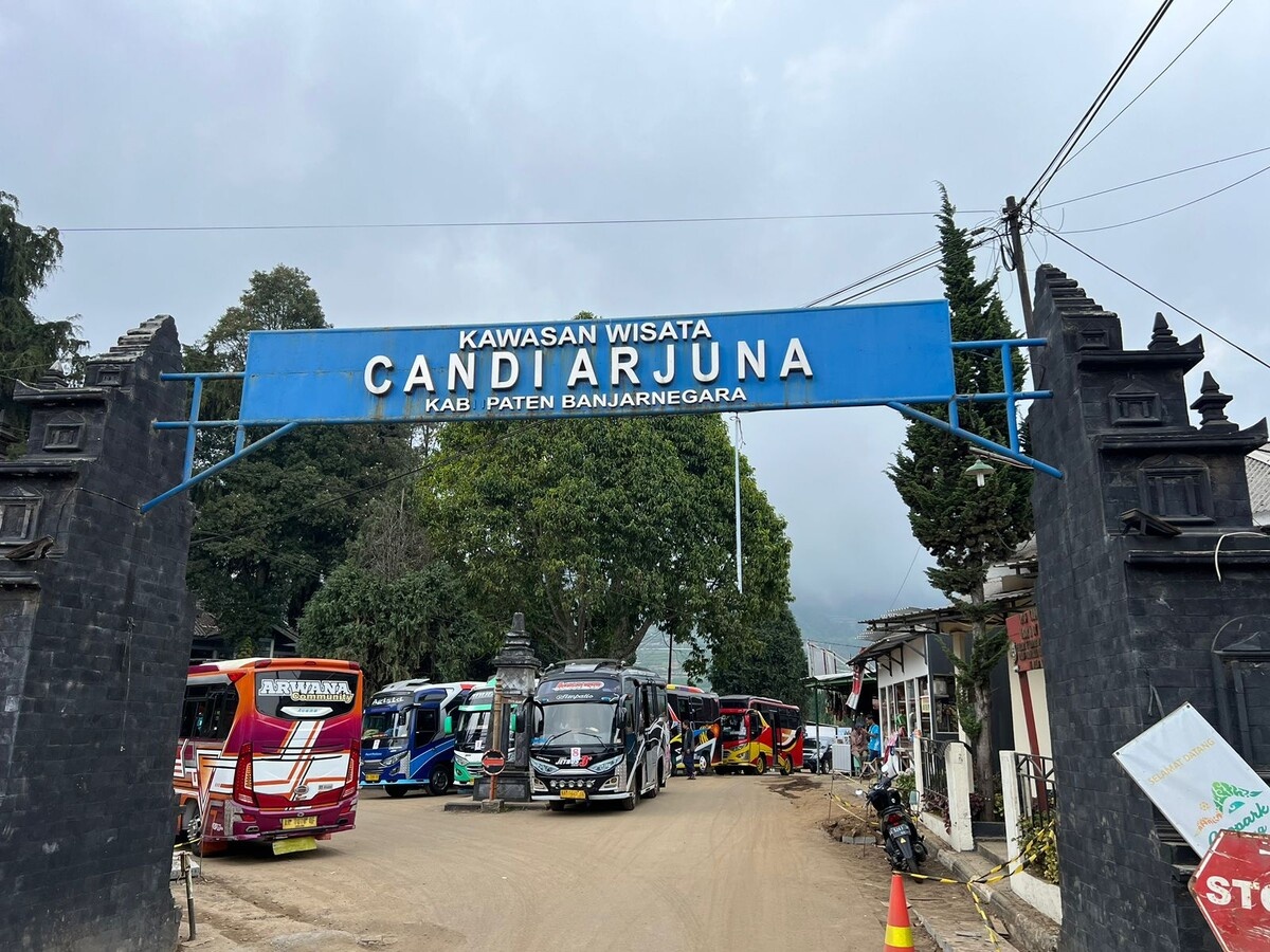 Добавьте описание