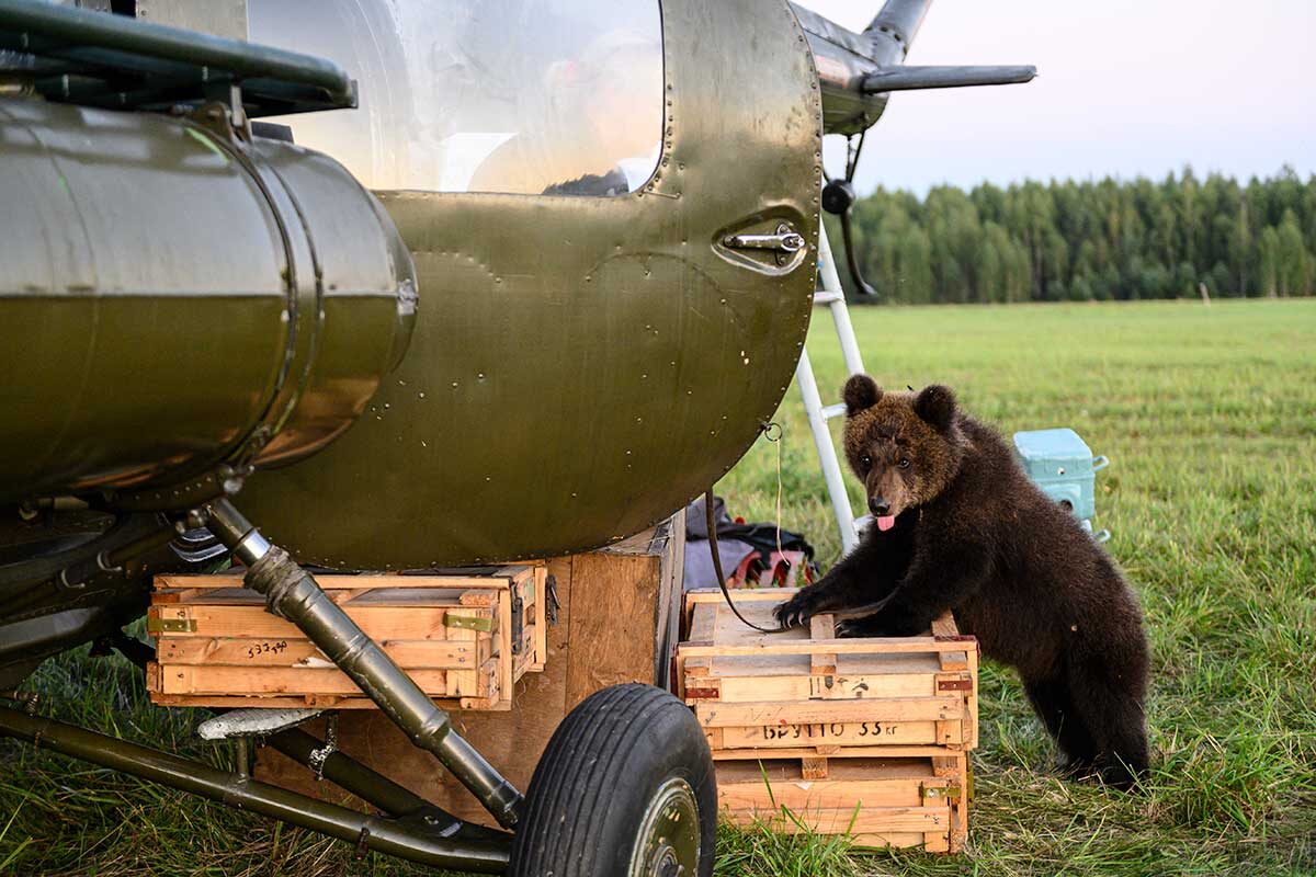 Пресс-служба «Централ Партнершип»📷Фото со съемок фильма «Пальма 2»