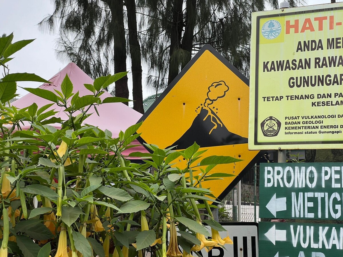 Добавьте описание