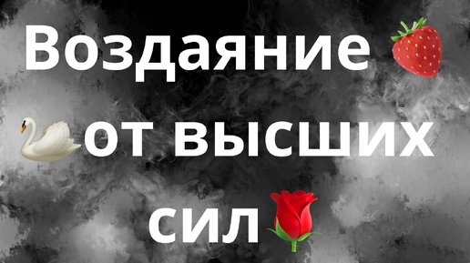 ЧЕМ ВОЗНАГРАДЯТ ВАС ВЫСШИЕ СИЛЫ ЗА ПРОЖИТОЕ?🌹🦢🍓