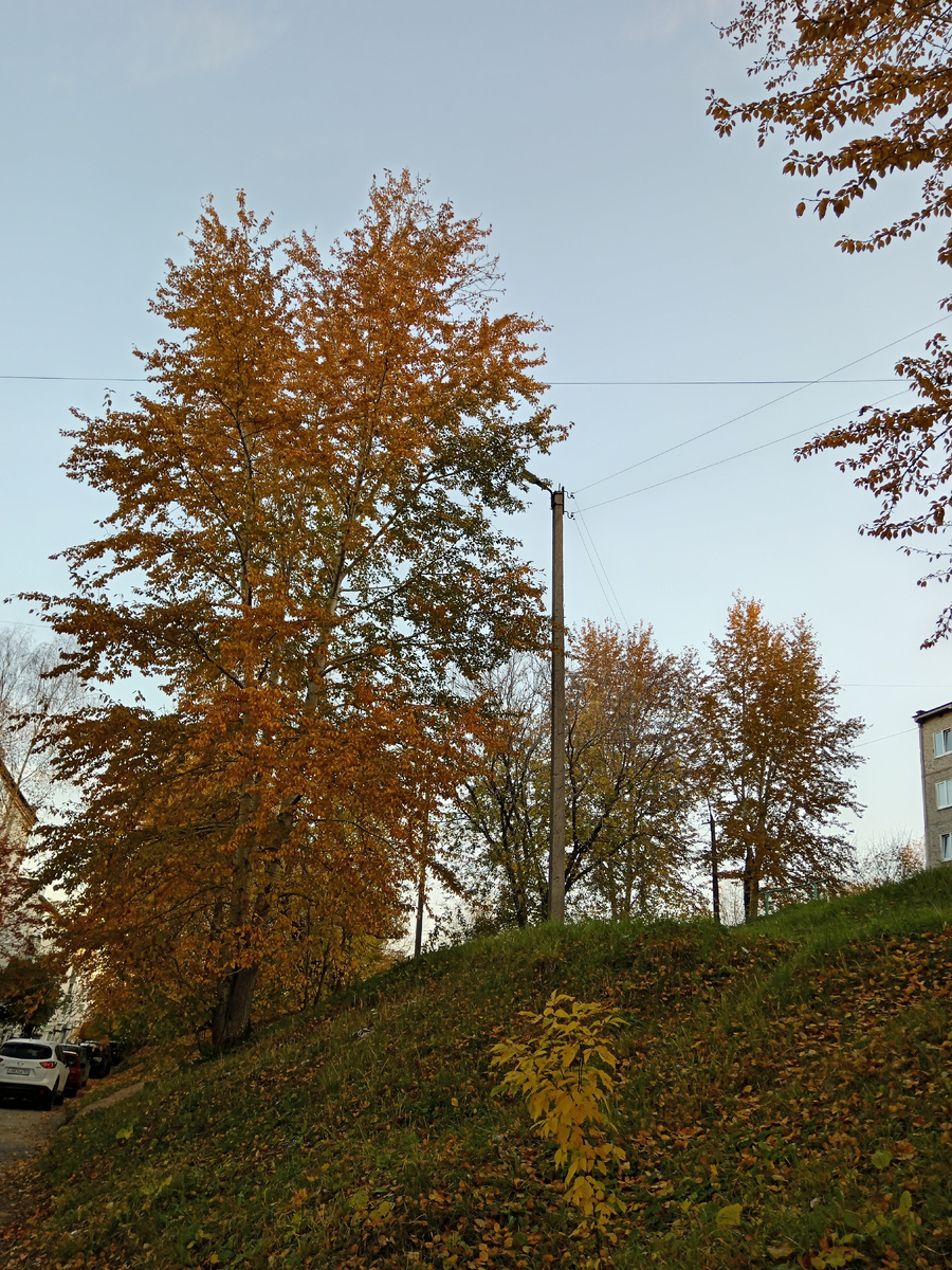 По дороге на работу. 