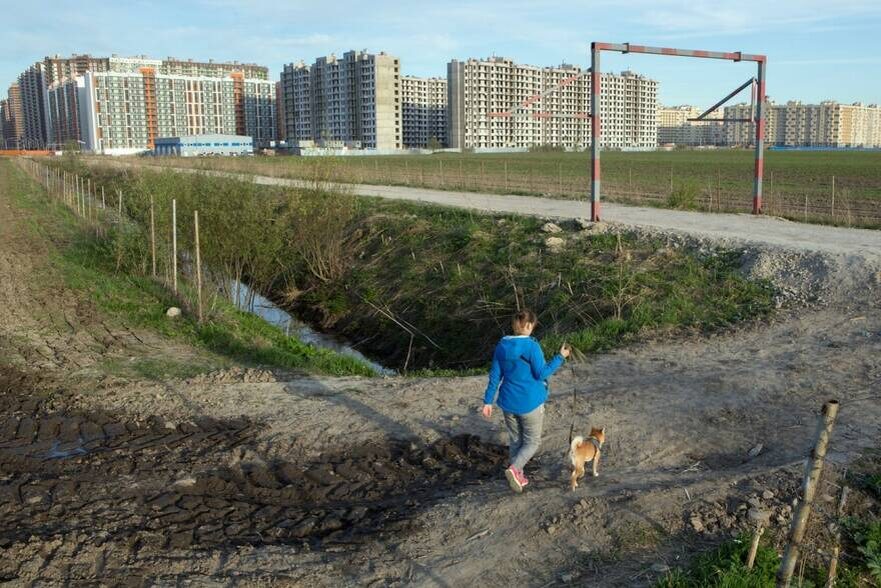     Сергей Куликов/PhotoXPress.ru