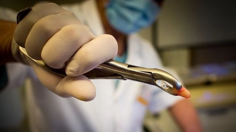     Дантист. Открытые источники.