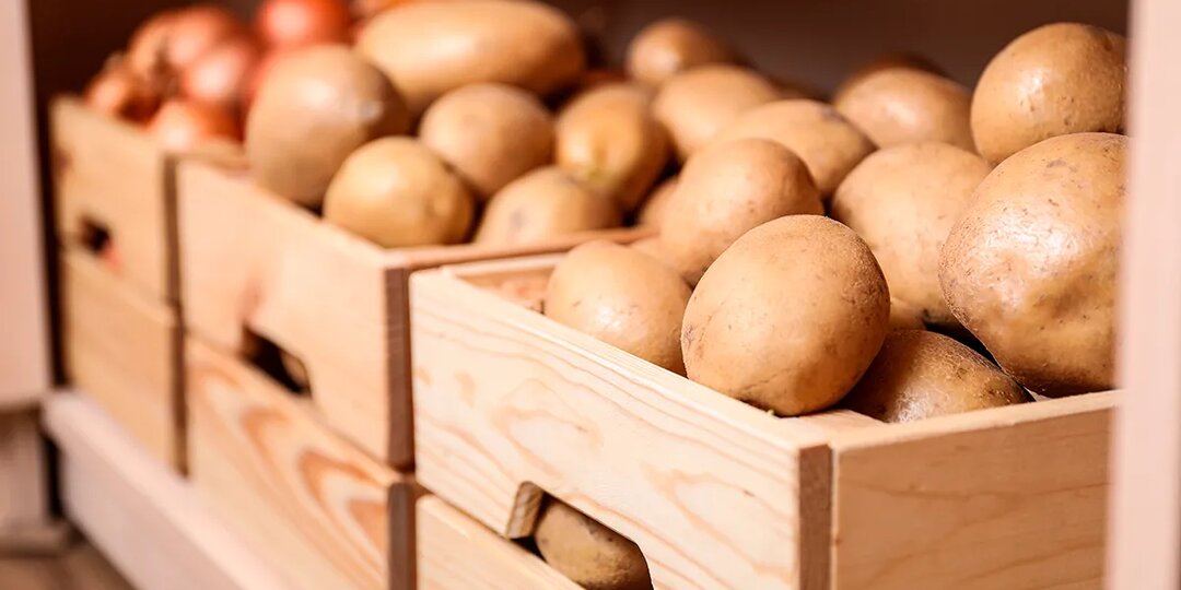Как правильно хранить картошку в квартире — читать на Gastronom.ru