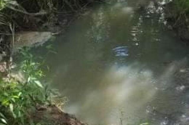    Фото: 27dps_lazo