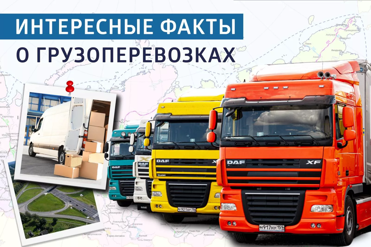 *фото взято из интернета