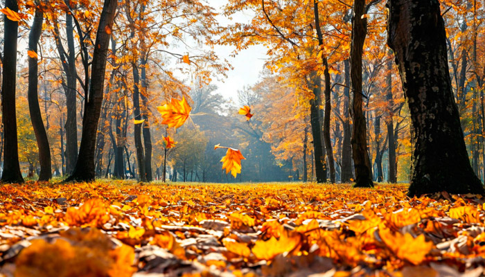 8 октября — Сергей Капустник. Фото: Шедеврум