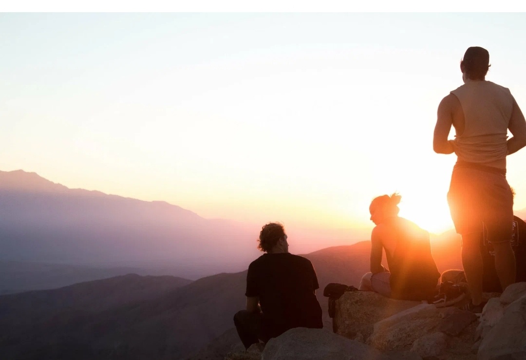 Из общедоступных источников