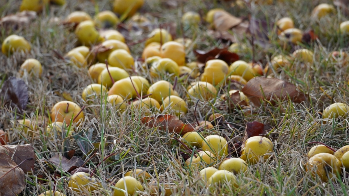 Светлана Мулыкина📷
