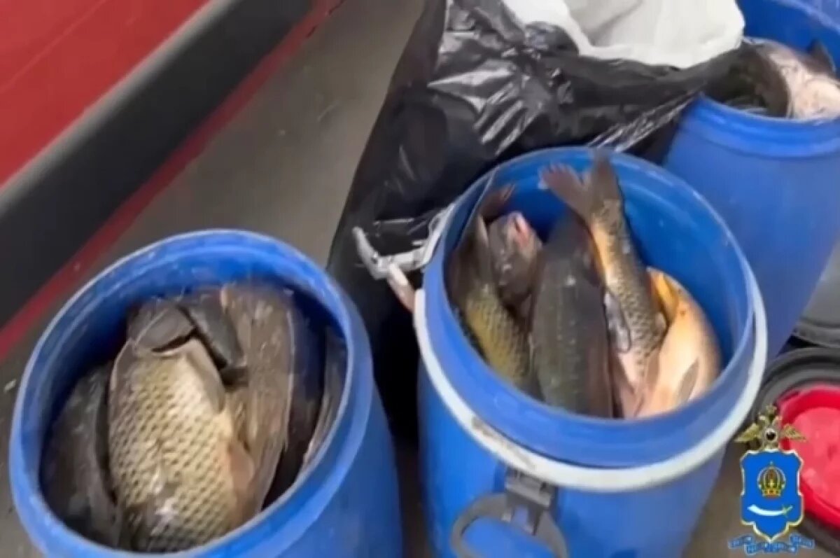    Задержан астраханец, который занимался незаконной перевозкой рыбы