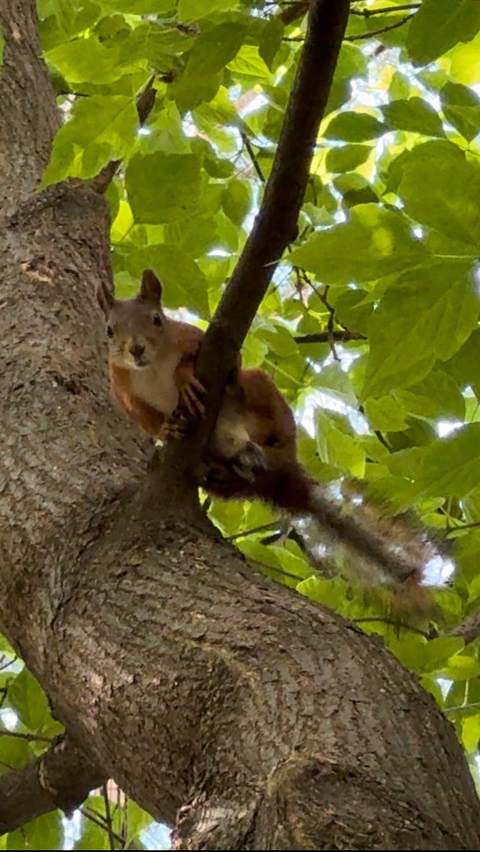 Они оказывается тоже за мной наблюдали) 
