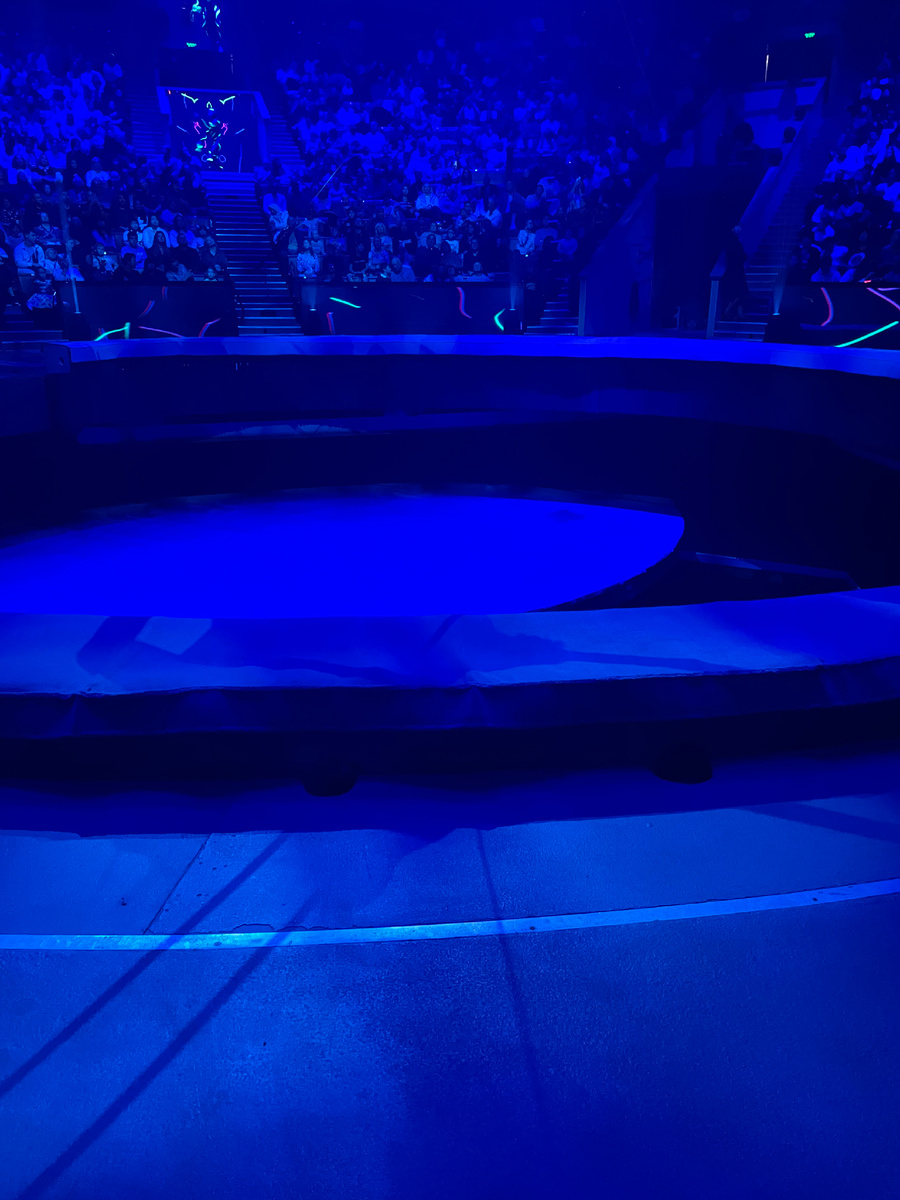 Манеж-трансформер Большого Московского цирка, сентябрь 2024, фото Д. Митрофанов.