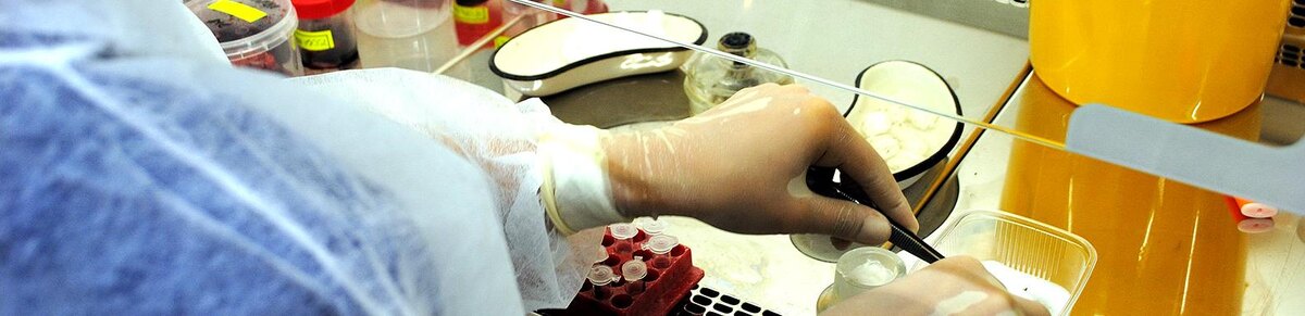    Фото: Сергей Егоров