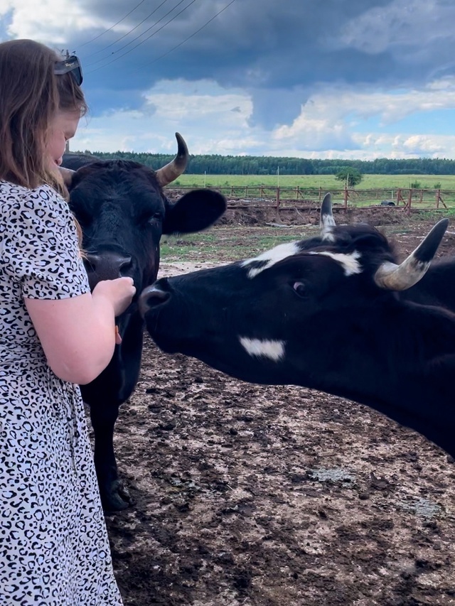 Слева Санта, справа Дамодарчик