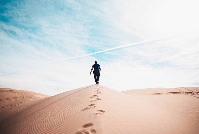 Фотография с просторов интернета 