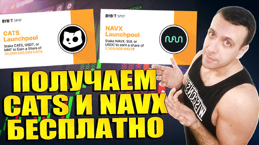 Получаем токены CATS и NAVI (NAVX) бесплатно. Новые лаунчпулы на Bybit