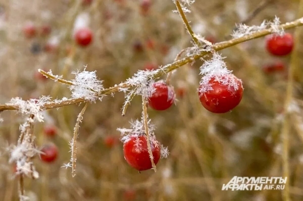    Синоптики предупреждают свердловчан о надвигающемся снеге и гололедице