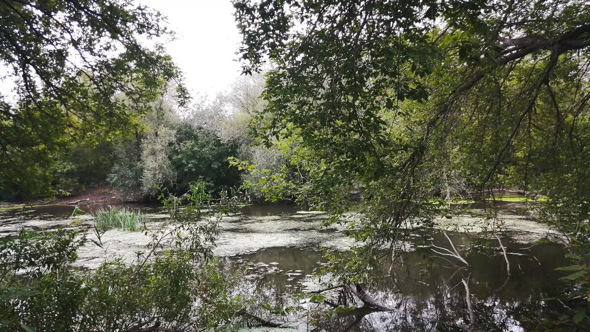     Источник: 1MI