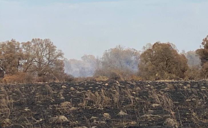    фото Курские известия