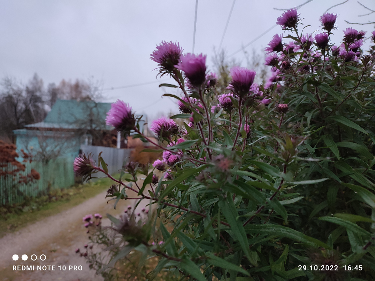 Осень на даче