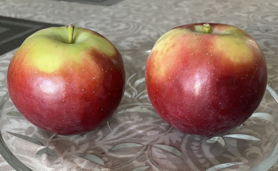 Московское ожерелье 30.09.2024