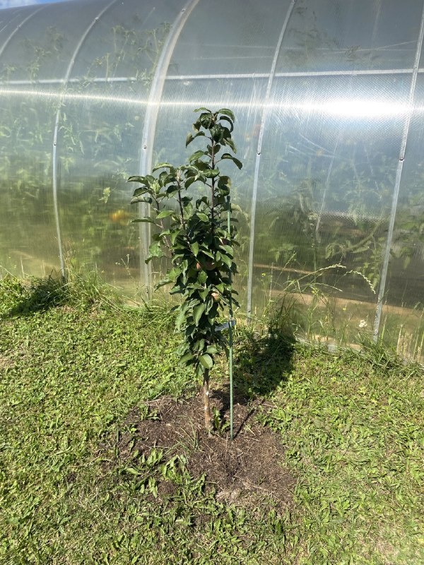 Московское ожерелье