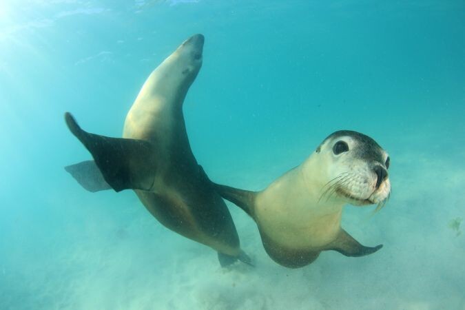 Фото: Rich Carey/Shutterstock)