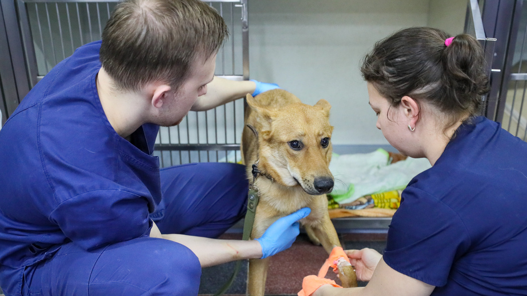    Petrov Sergey/Globallookpress