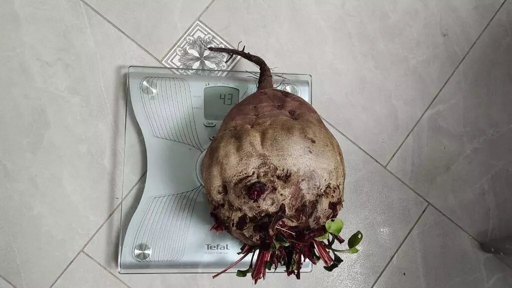     Источник: VK-сообщество «Регион-52 | Нижний Новгород»