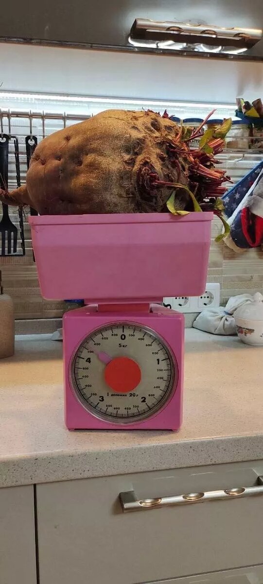     Источник: VK-сообщество "Регион-52 | Нижний Новгород"