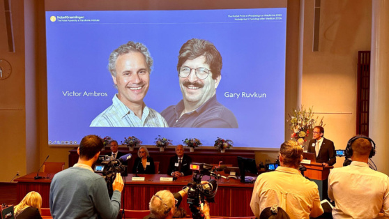    Нобелевскую премию по медицине присудили за открытие молекул микроРНК Ирина Петрова