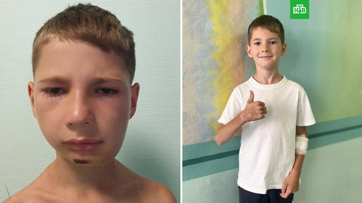    Фото: roshal_clinic / t.me