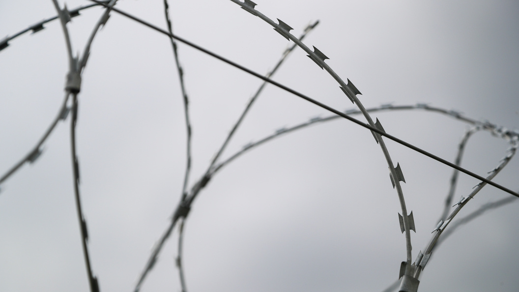    Belkin Alexey/news.ru