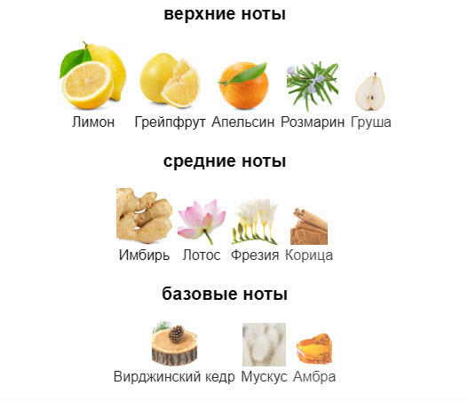 пирамида аромата Girl Gian Marco Venturi